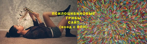 таблы Каменногорск