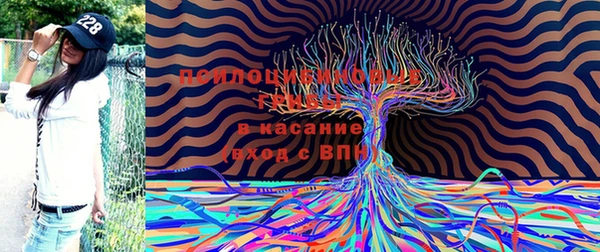 герыч Каменск-Шахтинский