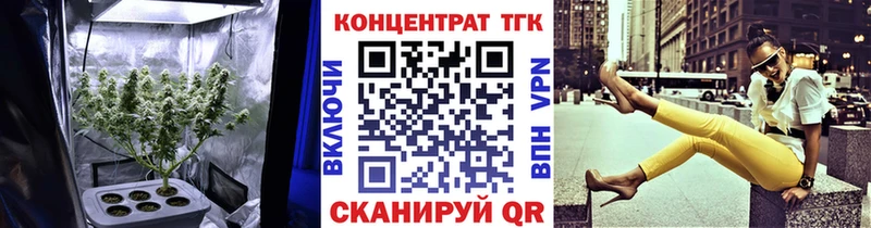 Купить закладки  Петровск-Забайкальский  ТГК Wax 