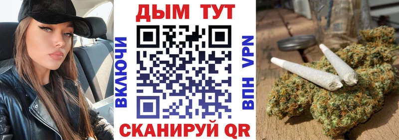 Купить где  Петровск-Забайкальский  Канабис ГИДРОПОН 